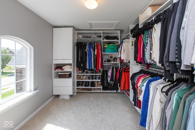 10334 Strongbow Rd, Fishers, IN 46040 - walk in closet featuring attic access and carpet flooring