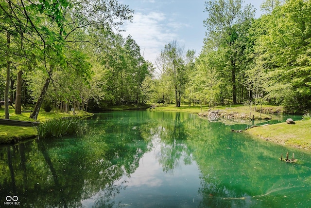 10823 E 200 N, Sheridan, IN 46069 - water view featuring a heavily wooded area