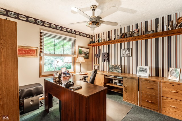 5123 Marble Ct, Indianapolis, IN 46237 - office featuring carpet, a ceiling fan, and a textured ceiling