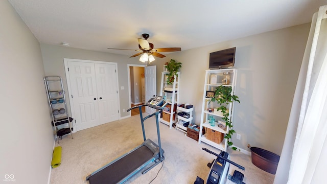 1623 Beech Cir, Plainfield, IN 46168 - workout area featuring a ceiling fan and carpet flooring