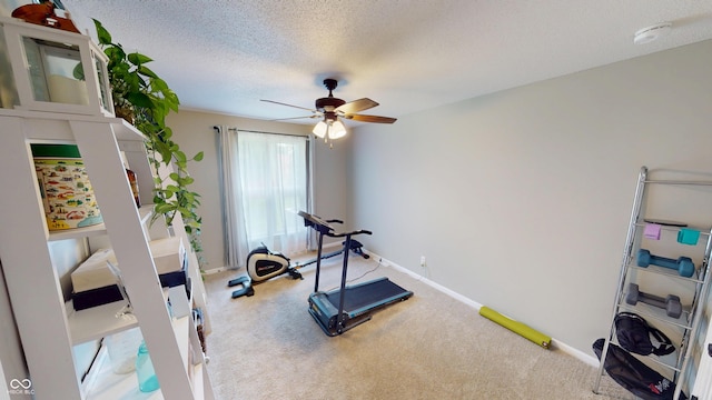 1623 Beech Cir, Plainfield, IN 46168 - workout area featuring carpet floors, ceiling fan, and a textured ceiling