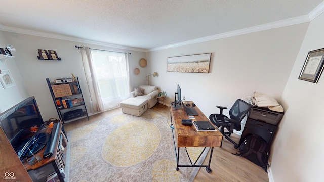 1623 Beech Cir, Plainfield, IN 46168 - office space with wood finished floors, crown molding, and a textured ceiling