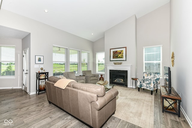 1360 Petit Verdot Dr, Westfield, IN 46074 - living room with wood finished floors, high vaulted ceiling, and a glass covered fireplace