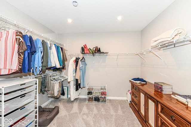 1360 Petit Verdot Dr, Westfield, IN 46074 - walk in closet with carpet floors
