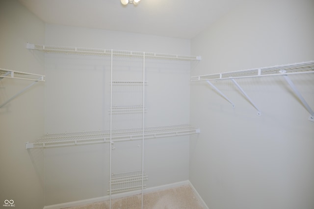 7151 Sea Pine Dr, Indianapolis, IN 46250 - walk in closet with carpet
