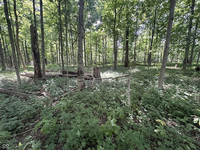 12814 E 216th St, Noblesville, IN 46060