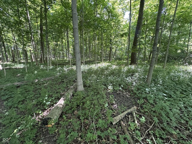 12814 E 216th St, Noblesville, IN 46060