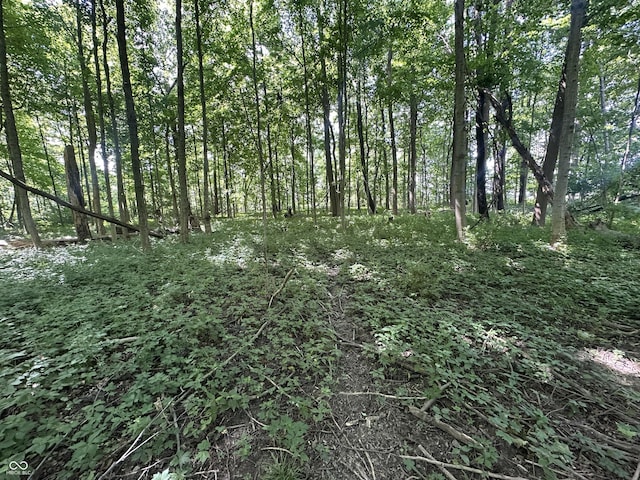 12814 E 216th St, Noblesville, IN 46060
