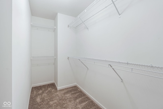 7181 Lillian Pl, Cumberland, IN 46229 - photo 25