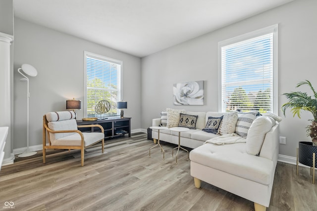13004 Tuscany Blvd, Carmel, IN 46032 - living area featuring light wood finished floors and baseboards