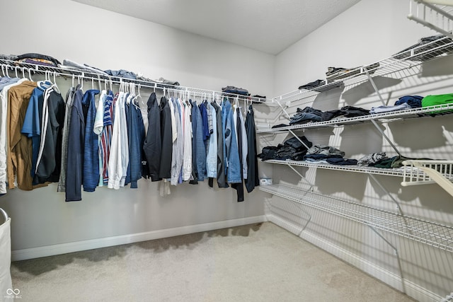 13004 Tuscany Blvd, Carmel, IN 46032 - spacious closet with carpet floors