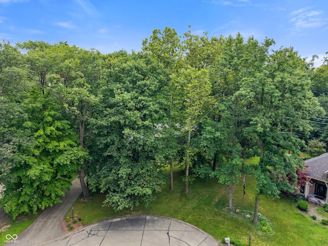12011 Emory Dr, Indianapolis, IN 46229 - view of yard