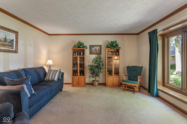12011 Emory Dr, Indianapolis, IN 46229 - living room with light colored carpet, a textured ceiling, and crown molding