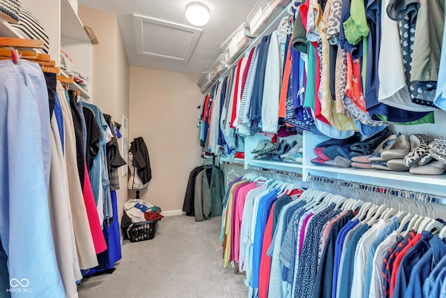 5961 Pine Bluff Dr, Avon, IN 46123 - walk in closet with attic access and carpet
