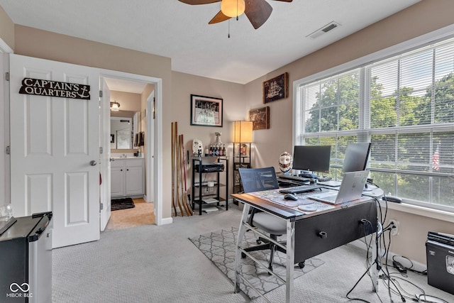 5961 Pine Bluff Dr, Avon, IN 46123 - office space with ceiling fan, light carpet, and plenty of natural light