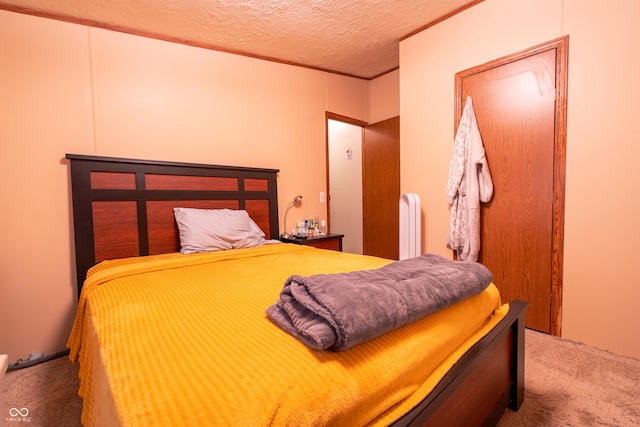 2501 Mitten Rd, Bowling Green, IN 47833 - bedroom with carpet flooring, a textured ceiling, and radiator heating unit