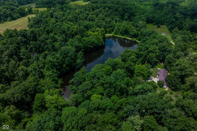 2501 Mitten Rd, Bowling Green, IN 47833 - view of property location featuring a nearby body of water and a forest