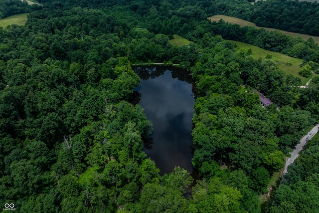 2501 Mitten Rd, Bowling Green, IN 47833 - aerial view of property's location featuring a large body of water and a heavily wooded area