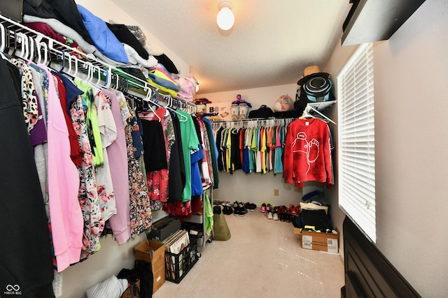 2016 Morning Light Ln, Greenwood, IN 46143 - view of walk in closet
