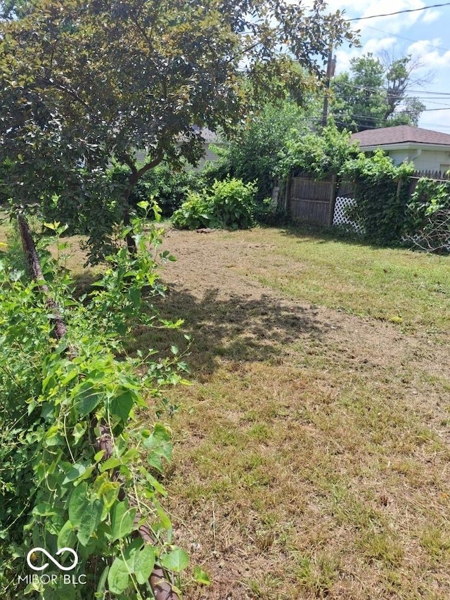 2245 Union St, Indianapolis, IN 46225 - view of yard