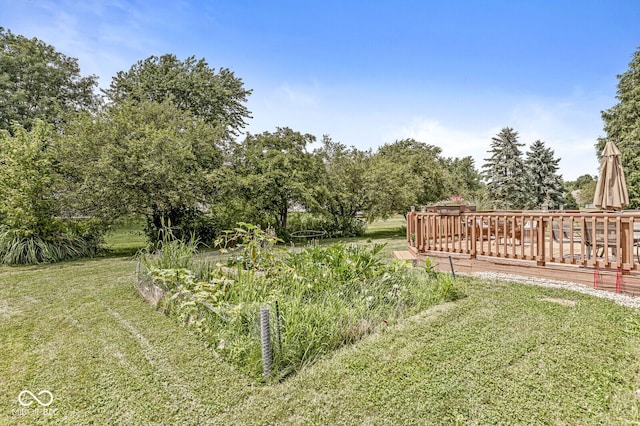 6732 Dorchester Dr, Zionsville, IN 46077 - photo 30