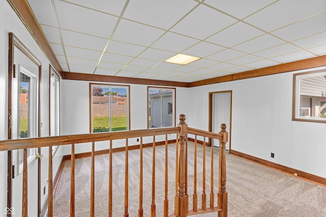 320 S Odell St, Brownsburg, IN 46112 - hall with carpet and a drop ceiling