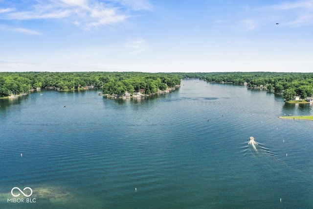 4168 Sprunica Rd, Nineveh, IN 46164 - water view with a forest
