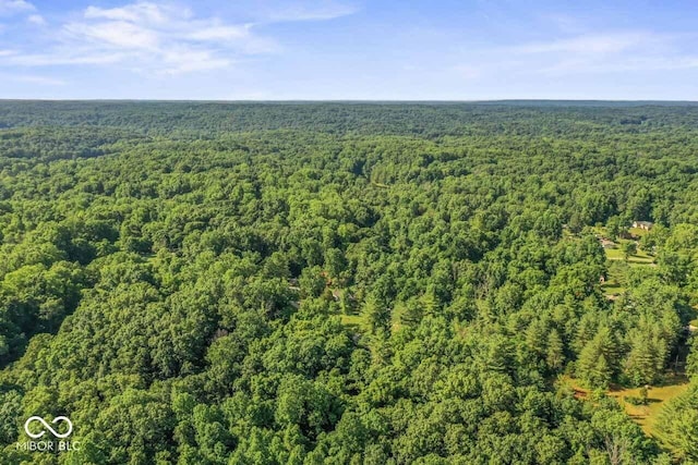 4168 Sprunica Rd, Nineveh, IN 46164 - aerial view of property and surrounding area with a forest