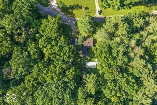 4168 Sprunica Rd, Nineveh, IN 46164 - aerial overview of property's location