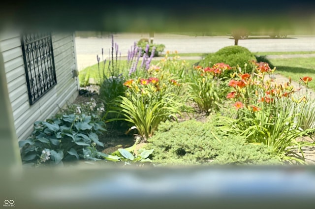 727 Crystal Farms Dr, Avon, IN 46123 - photo 28