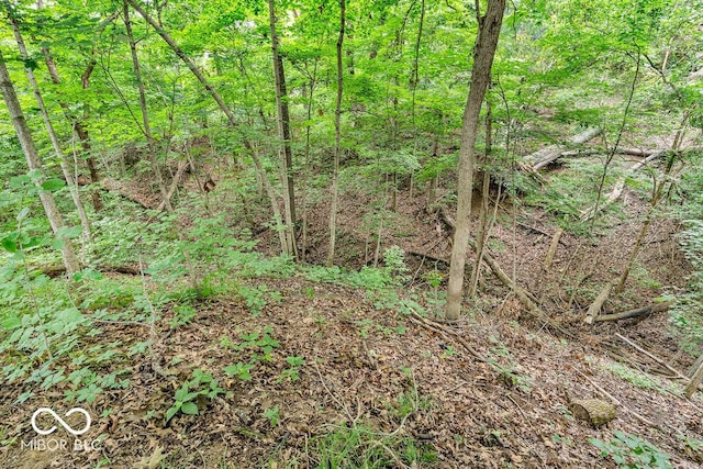 354 Mill Spgs, Fillmore, IN 46128 - view of nature