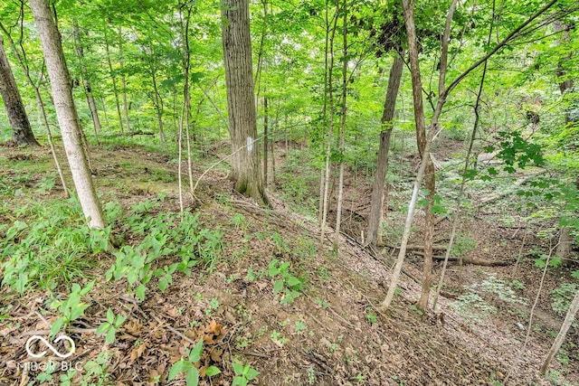 354 Mill Spgs, Fillmore, IN 46128 - view of woods