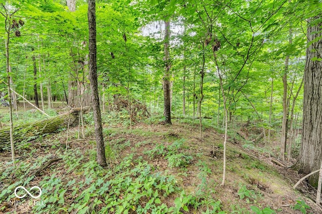 354 Mill Spgs, Fillmore, IN 46128 - view of tree filled area