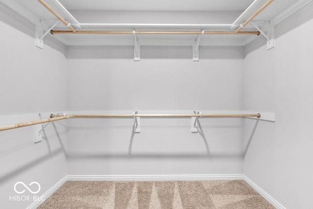 354 Mill Spgs, Fillmore, IN 46128 - walk in closet featuring carpet