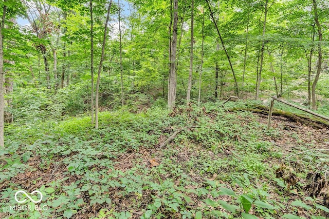 354 Mill Spgs, Fillmore, IN 46128 - view of tree filled area