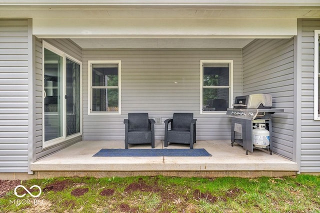 354 Mill Spgs, Fillmore, IN 46128 - view of patio / terrace featuring a grill