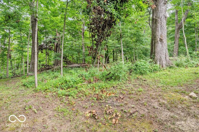354 Mill Spgs, Fillmore, IN 46128 - view of wooded area