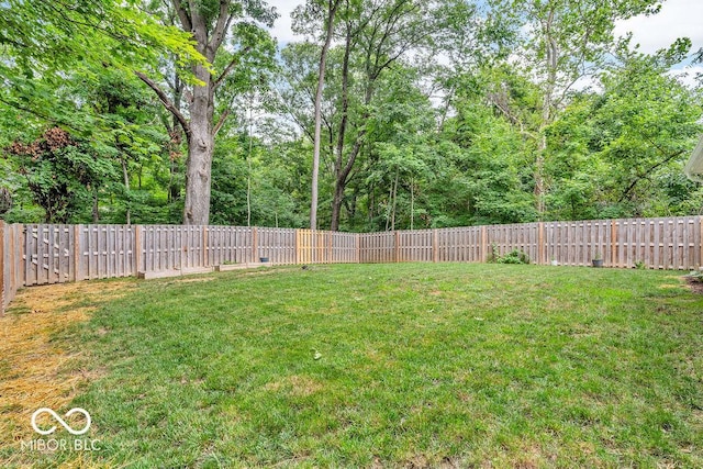 354 Mill Spgs, Fillmore, IN 46128 - view of fenced backyard