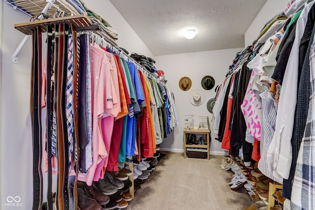 660 N Granite Dr, Fortville, IN 46040 - photo 45