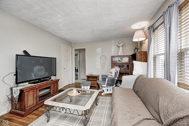 1810 Calhoun St, Indianapolis, IN 46203 - living room featuring wood finished floors, plenty of natural light, and a textured ceiling