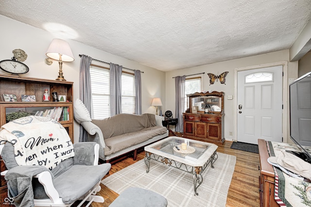 1810 Calhoun St, Indianapolis, IN 46203 - living area with a textured ceiling and wood finished floors