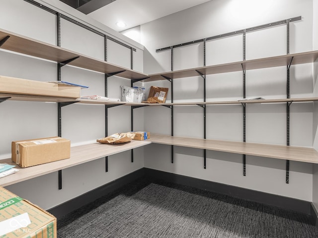 430 N Park Ave Unit 104, Indianapolis, IN 46202 - view of storage room