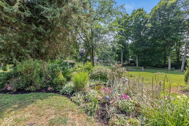 921 Morgan Dr, Indianapolis, IN 46227 - view of green lawn with view of wooded area