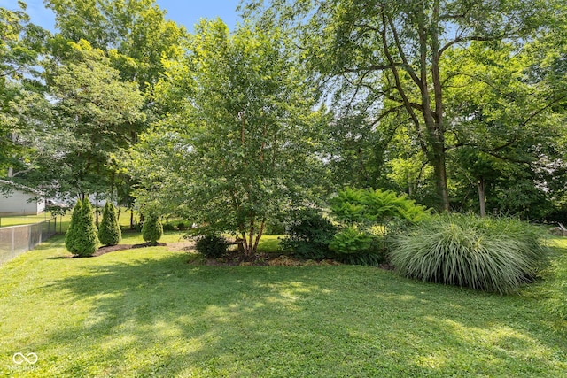 921 Morgan Dr, Indianapolis, IN 46227 - view of yard