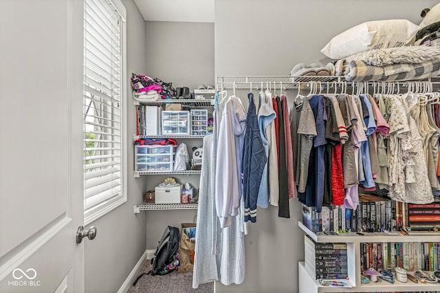 14293 Dufton Ct, Carmel, IN 46074 - walk in closet featuring carpet flooring