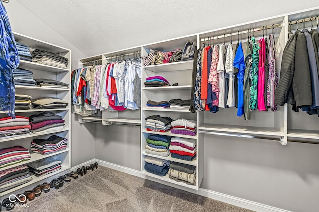 14293 Dufton Ct, Carmel, IN 46074 - spacious closet with carpet flooring