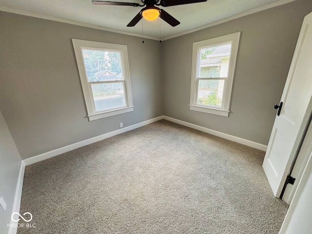 1550 E Tabor St, Indianapolis, IN 46203 - photo 36