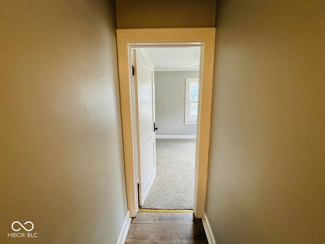 1550 E Tabor St, Indianapolis, IN 46203 - photo 35