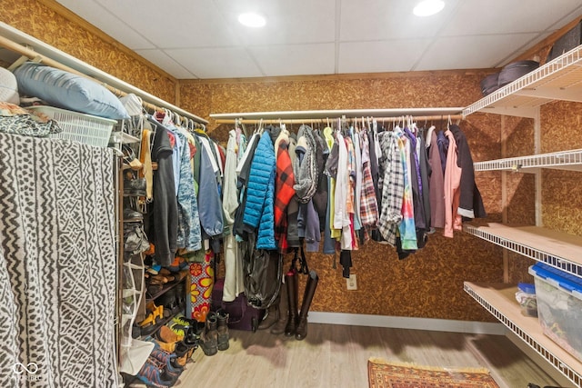 7437 Center Lake Rd, Nineveh, IN 46164 - walk in closet featuring wood finished floors and a drop ceiling