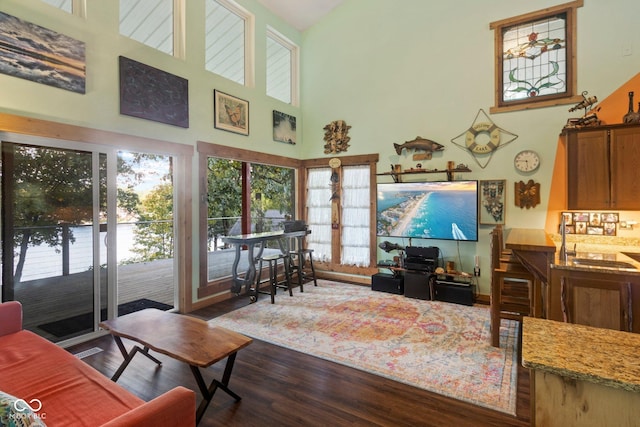 7437 Center Lake Rd, Nineveh, IN 46164 - living room with dark wood-style flooring, plenty of natural light, and a towering ceiling